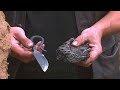 Vogler-DVD: Rennfeuer auf der Dom�ne Heidbrink