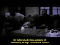 videos de video subtitulado de 