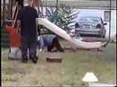 Crackhead fight