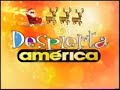 la gaita zuliana en  univision amparito en vivo