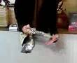 風呂敷の包み方〜1〜:How to FUROSHIKI wrapping