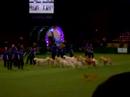 Crufts 2008 - Southern Golden Retriever Display Team (5)
