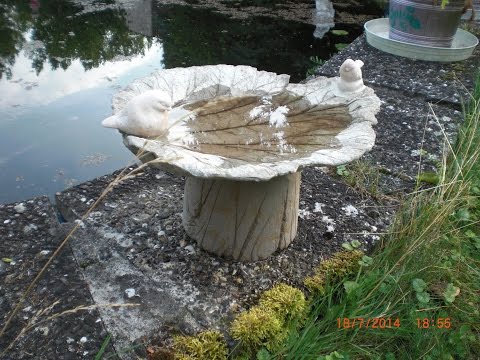 Beton giessen - DIY - Anleitung - Eine Vogeltränke aus einem Rhabarberblatt auf einem Standfuß