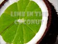 Sprung Monkey - Lime In The Coconut
