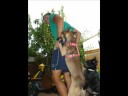voluntarios NMA