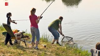 Když za udicí stojí žena, aneb LadyCup 2016