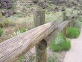 petroglyph