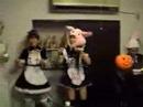 Tulip ! / ???????? with halloweens