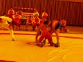 wrestling lutte libre