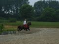 sam galop water sam galop water
