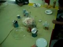 fruit salad making03