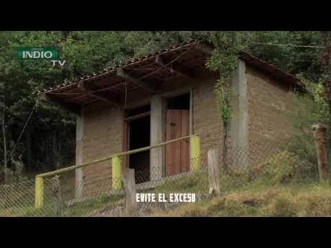 Indio TV: Baxter en Los Dinamos