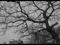 bessa - tilly & the wall