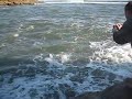 Robalo pescado por kriki�o