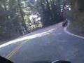 ninja 250 run