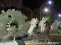 carnaval - desfile de comparsas