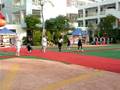 P1010377.MOV