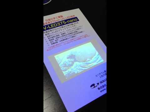 紫外線LEDでサンプルの絵を照らす
