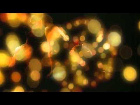 how to get rid of asian glow