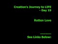 Creation's Journey to LIFE - Day 19: Rotten Love