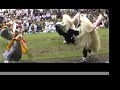 Tono Hachiman festival 2006 Hosogoe Shishi-odori