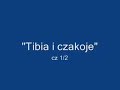 Tibia i czakoje 1/2