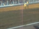 Mutton Busting
