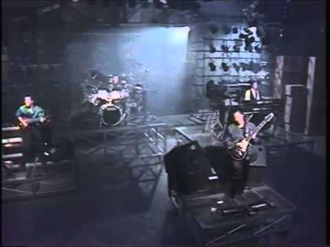 CASIOPEA カシオペア HALLE ハレ music party