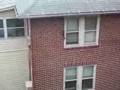 Crazy Wall Climbing Squirrel at Bucknell