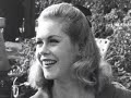 this is another tribute to elizabeth montgomery.
no copyright just for fun.