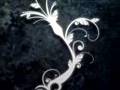 Endless flowers composition in After Effects
