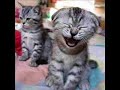 G3nn laughing