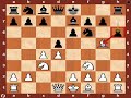 World Chess Championship 2010: Topalov vs. Anand - Game 12
