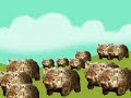 Wombat! Wombat! Wombat! Wombat! Wombat! Wombat!