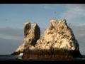 Revillagigedo islands, Slideshow made by Petrula with guest photographs