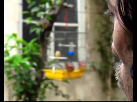 مسلسل منع في سوريا ، ح1 حرية بقفص . إنتاج رائع