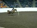 videos de Cody's Curiosity Congress Sr Horse Polebending 2008