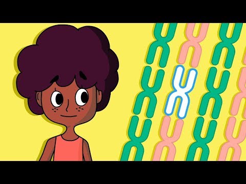 Imatge de previsualització de YouTube