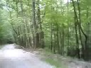 Riding my recumbent down McGowen Rd, a very steep gravel hill in the middle of the Hoosier National Forest