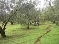 XT660X VS TRANSALP