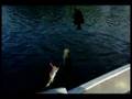 Bass on small lakes