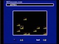 www.nesguide.com