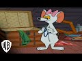 YouTube - Tom and Jerry: Chuck Jones Collection- Attractive Mouse