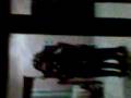 videos de Keka i guigui culiacancito.3gp