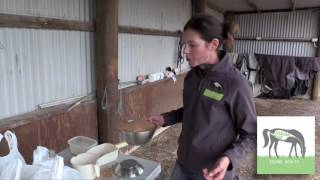 Why weighing your horse's feeds is important