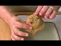 Jack attempts to make Cookie Bowls. Here's how. Turn cupcake pan upside down. butter or oil entire bottom of pan. place small amount of cookie dough on bottom of each cupcake section. Bake 12-13 minutes let cool for a moment then carefully remove. Be sure to post your pictures at Facebook.com/CookingWithJack