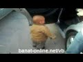 http://banat-online.net/vbشوفو الرقص ههههههههه ياحليلهمع تحيات منتديات بنات اون لاين