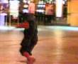 dancing old lady on freemont street