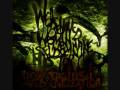 Well Behaved Women - Brees of Plague