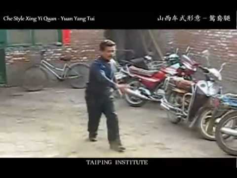 Xing Yi - Yuan Yang Tui  [山西车式形意之鸳鸯腿]